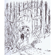 Kép 2/2 - Narnia krónikái [1-7 könyv egy kötetben, illusztrált]