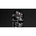 Skynet híradó I.