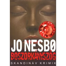 Boszorkányszög [5. Harry Hole zsebkönyv, Jo Nesbo]