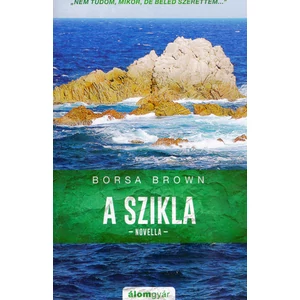 A szikla [Borsa Brown novella]