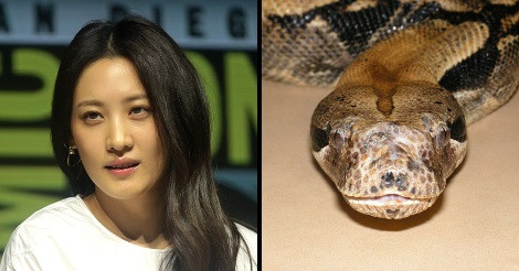 A Naginit játszó Claudia Kim, aki a filmben kígyóvá változik